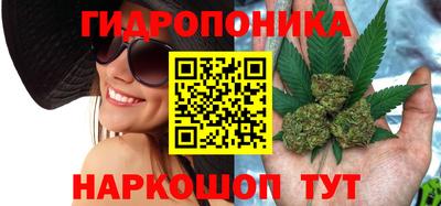 альфа пвп Железногорск